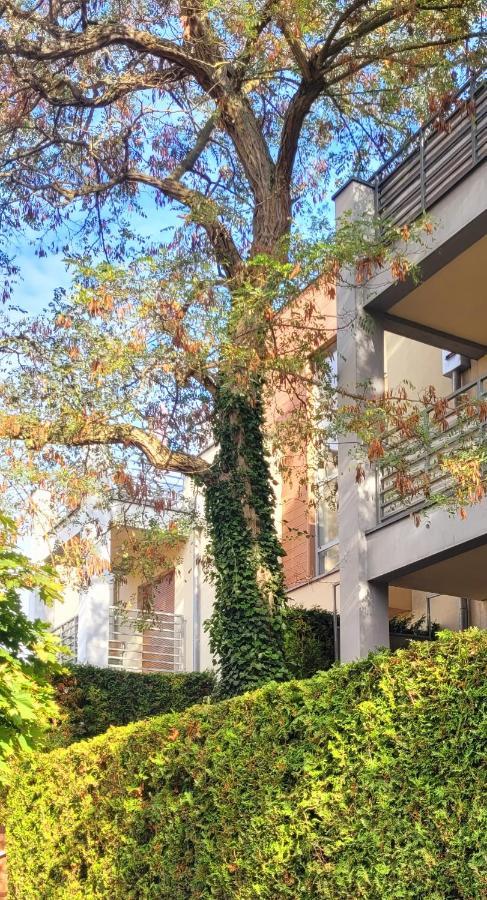 Apartament Wyspa, 2 Pokoje, Parking Gratis Мендзыводзе Экстерьер фото
